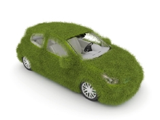 Voiture recouverte d'herbe