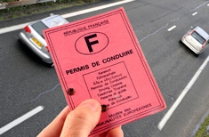 Main montrant un permis de conduire avec un fond de route avec des voitures