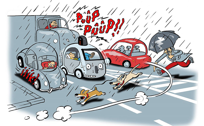 ILLUSTRATION EDITO NOV 2019 WEB